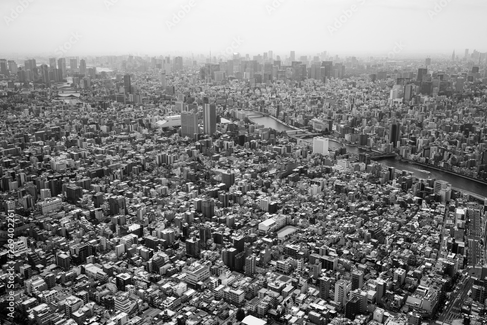 Poster Tokyo Aerial View in Japan