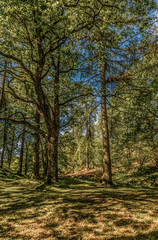 Yew Tree Tarn, Lake District National Park, England, UK