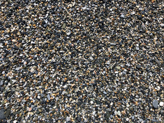 Sea stones and pebbles. The Mediterranean coast is strewn with small and large pebbles.