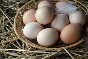 eggs in a basket on the background of straw