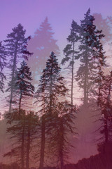 Trees
