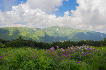 Hiking with a tent through Petros to Hoverla, Lake Nesamovite, Mount Pop Ivan Observatory.