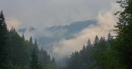 Hiking with a tent through Petros to Hoverla, Lake Nesamovite, Mount Pop Ivan Observatory.
