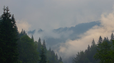 Hiking with a tent through Petros to Hoverla, Lake Nesamovite, Mount Pop Ivan Observatory.