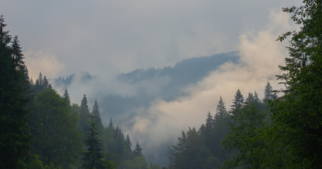 Hiking with a tent through Petros to Hoverla, Lake Nesamovite, Mount Pop Ivan Observatory.