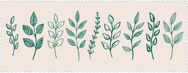 Branches and leaves symbols set, hand drawn illustration © LP Design