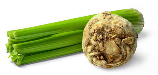 Stalk and celery root isolated on white background. Saturated color. Side view.