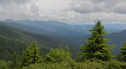 Hiking with a tent through Petros to Hoverla, Lake Nesamovite, Mount Pop Ivan Observatory.