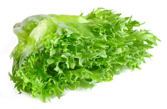 Frillis salad isolated on white. Saturated green color. Close-up.