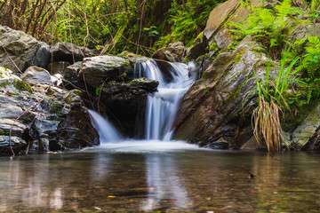 Long exposure of river flowing through a mountain forest over rocks and creating a small scenic waterfall. Scenery in Cinque Terre, National Park, Italy.