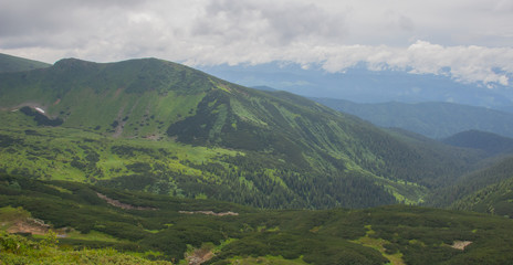 Obraz premium Hiking with a tent through Petros to Hoverla, Lake Nesamovite, Mount Pop Ivan Observatory.