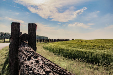 old wooden fence in a field
