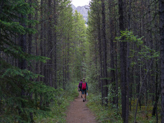 Hikers in forest, Saskatchewan River Crossing, Icefields Parkway, Jasper, Alberta, Canada