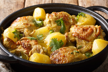 Kari Ayam slightly spicy, coconut and comforting Malaysian curry chicken closeup on a pan. horizontal