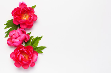 Flower composition. Beautiful pink red peonies and green leaves on light gray background. Top view Flat lay Copy space. Bouquet of peony flowers. Floral congratulatory background, greeting card