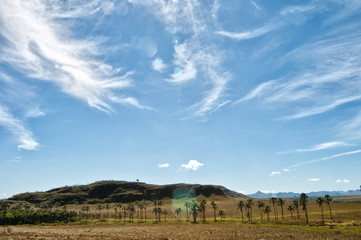 Chapada dos Veadeiros