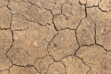 dry cracked earth background