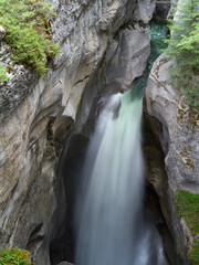 Waterfalls in forest, Maligne Canyon, Jasper National Park, Jasper, Alberta, Canada