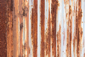 Old zinc wall surface Fence