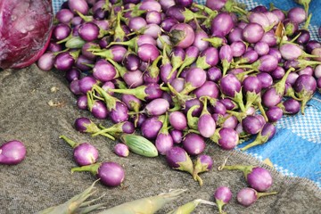 Fresh eggplant purple organic at street food