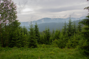 Unforgettable trek to the mountains in Gorgan, waterfalls. Rest in the Carpathians