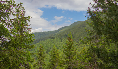 Unforgettable trek to the mountains in Gorgan, waterfalls. Rest in the Carpathians