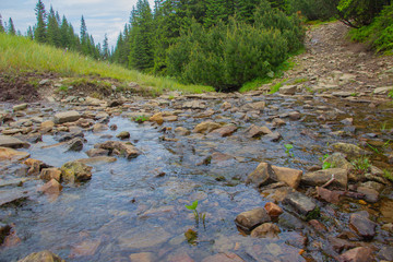 Unforgettable trek to the mountains in Gorgan, waterfalls. Rest in the Carpathians