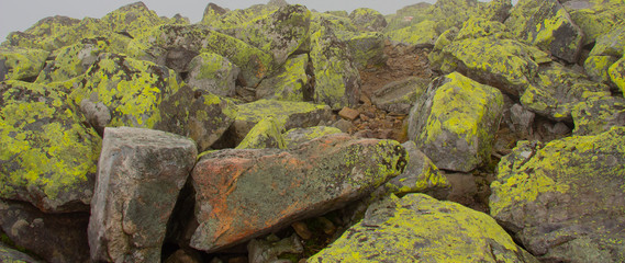 Unforgettable trek to the mountains in Gorgan, waterfalls. Rest in the Carpathians