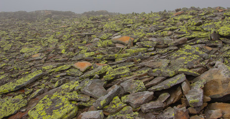 Unforgettable trek to the mountains in Gorgan, waterfalls. Rest in the Carpathians