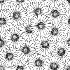 Vector seamless pattern with hand drawn daisies.