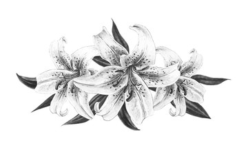 Seamless black and white lily pattern. Floral endless print. Marker drawing. Watercolor painting. Wedding and birthday festive composition. Greeting card. Painted background. Hand drawn illustration.