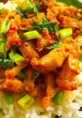 Rice topped with stir-fried chicken and basil