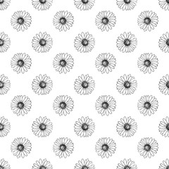 Vector seamless pattern with hand drawn daisies.