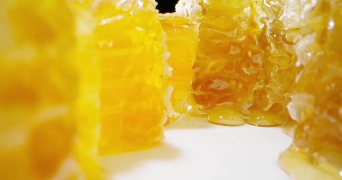 Honey Comb. Macro 4K. Wide angle panoramic shot