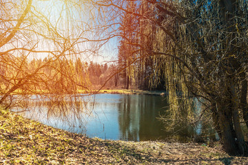 Obraz premium Romantic autumn mood at sunset on the lake. Autumn background