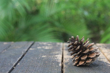 Pine cone on table with nature background.