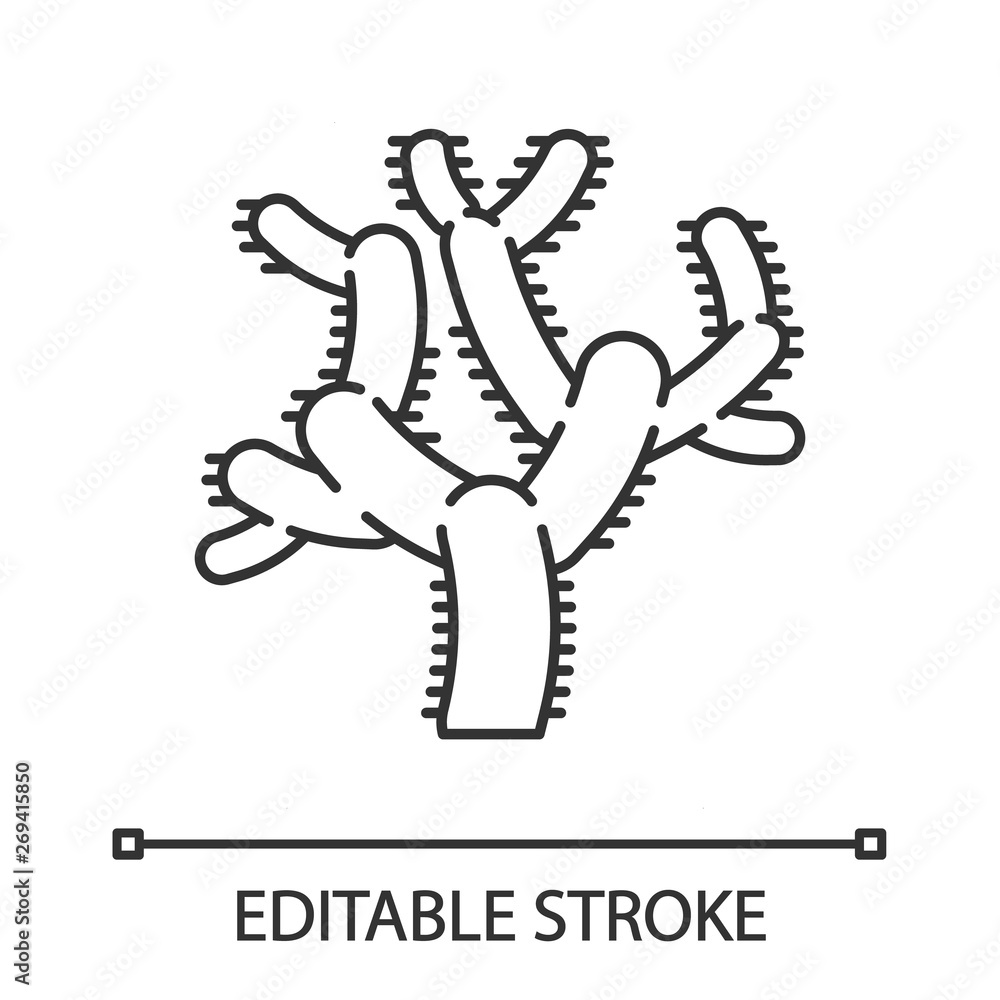 Sticker Teddy bear cholla cactus linear icon