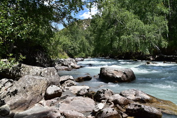 river in forest