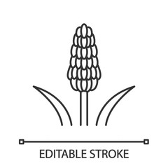 Red hot poker plant linear icon