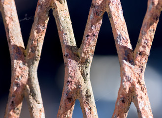 alter Zaun mit Spinnweben