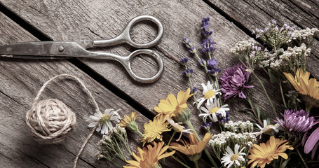 Wild flowers and scissors on old grunge wooden background (chamomile lupine dandelions thyme mint bells rape)