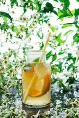 Closeup of summer citrus and mint lemonade in the glass bottle n front of leaves and flowers, selective focus