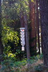 an insect trap