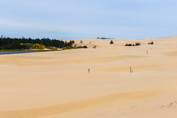 Oregon Dunes National Recreation Area, USA