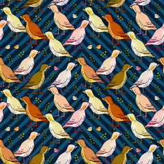 Seamless pattern with a bird. Farm ducks.