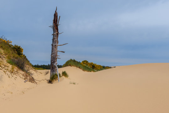 Oregon Dunes National Recreation Area, USA