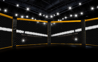 MMA fight cage arena