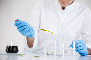 Fototapeta premium Scientist working with pharmaceutical cbd oil in a laboratory with glass dropper and a bowl