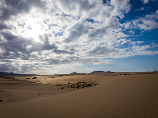 Fototapeta na wymiar Low sun , Park Natural, Corralejo, Fuerteventura, Canary islands,Spain