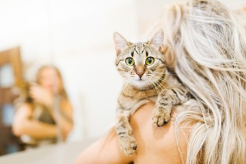 Woman playing with home cat - lovely pet